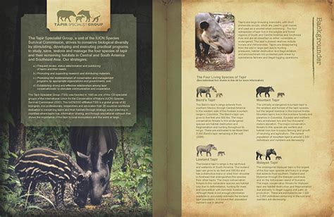 Tapir Conservation on Behance