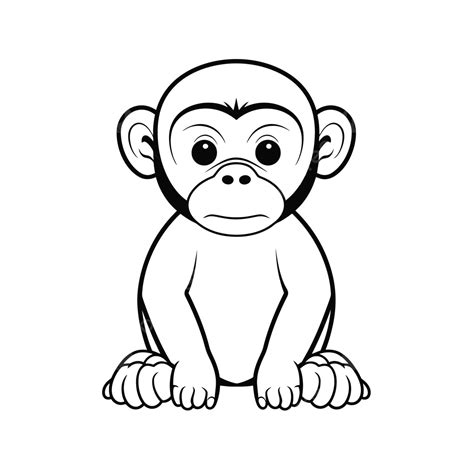 Baby Monkey Drawing On A White Background Outline Sketch Vector, Baby ...