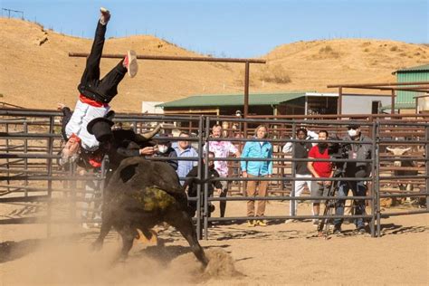 The Official Trailer for 'Jackass Forever' is Absolutely Insane