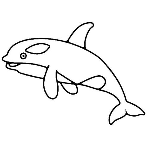 Killer Whale Printable Coloring Page - Free Printable Coloring Pages for Kids