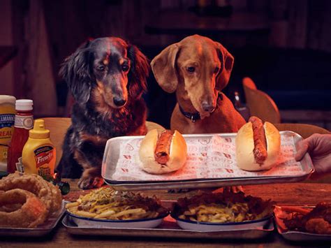 Hot dawg! Meat Liquor is launching a dog-themed food and drink menu