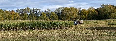 Autumn Corn Field Harvest – Ruth E. Hendricks Photography