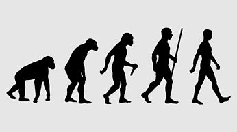 Transitional Fossil, go home, natural Selection, human Evolution, paleontology, evolve, linkedin ...