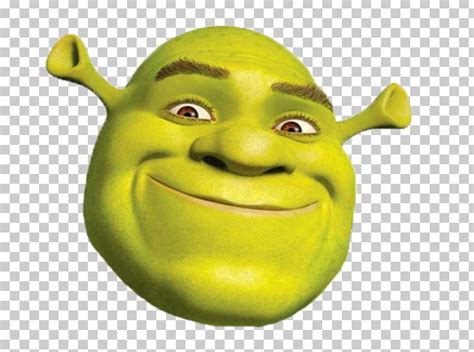 shrek face png 10 free Cliparts | Download images on Clipground 2024