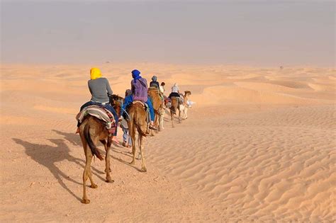 Sahara Desert Camel Trek in Tunisia 6-Day Tour - Mosaic North Africa