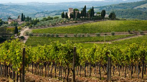 Chianti Wines & All You Need To Know About The Region - Palate Club