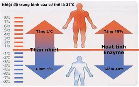 Nhiệt độ trung bình của con người là bao nhiêu? Giới hạn nhiệt độ cơ thể