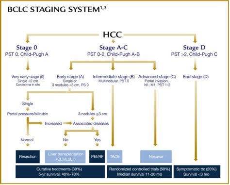 HCC treatment | Journal of Online Hepatology