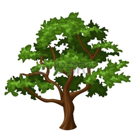 Old oak clipart - Clipground