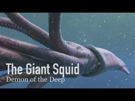 The Giant Squid demonstrates Deep Sea Gigantism, a phenomenon whereby ...