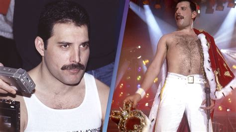 Freddie Mercury's Brave Public Statement Just 24 Hours Before His Death ...