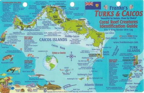 Turks & Caicos Dive Map & Reef Creatures Guide Franko Maps Laminated ...