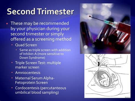 PPT - Testing in Pregnancy PowerPoint Presentation, free download - ID:1096978