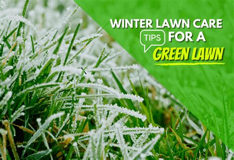 How to Keep Your Grass Green in the Winter - ExperiGreen