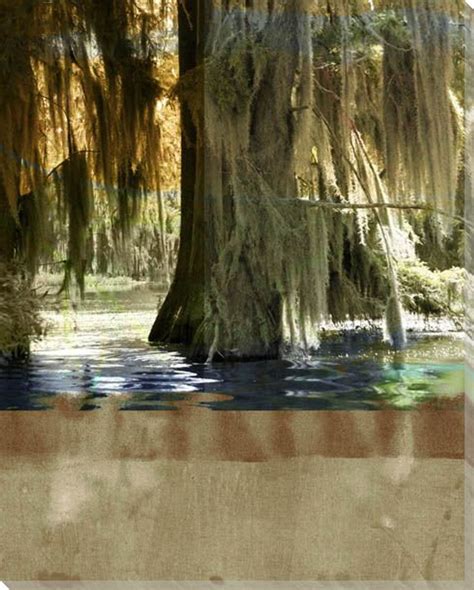 Low Country Trees II Wrapped Canvas Giclee Print Wall Art - Wall Decor - Artwork