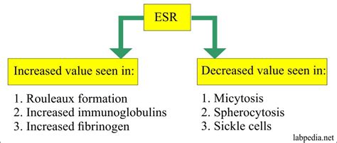 Erythrocyte Sedimentation Rate – Part 1 – (ESR), Sedimentation Rate – Labpedia.net