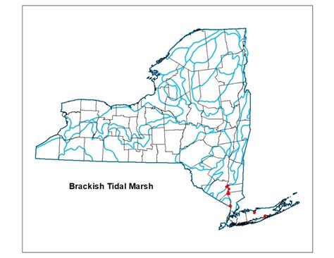 Brackish Tidal Marsh Guide - New York Natural Heritage Program