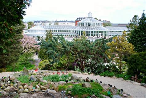 Botanical Gardens, Copenhagen - Greenhouses & Sightseeing | Free-City ...