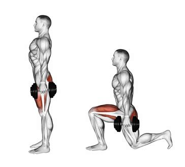 Exercise Database (Legs5) - Dumbbell Lunges — Jase Stuart - The Better ...