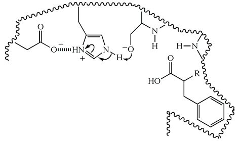 Illustrated Glossary of Organic Chemistry - Chymotrypsin