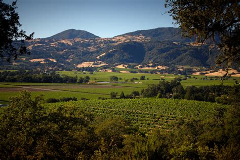 Rodney Strong Vineyards and Winery, Revitalizing an Iconic Brand - Wine ...