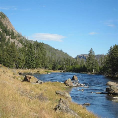 Madison River (Yellowstone National Park) - All You Need to Know BEFORE You Go