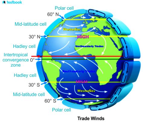 Trade Winds: Definition, Formation, Causes, Effects, And Types