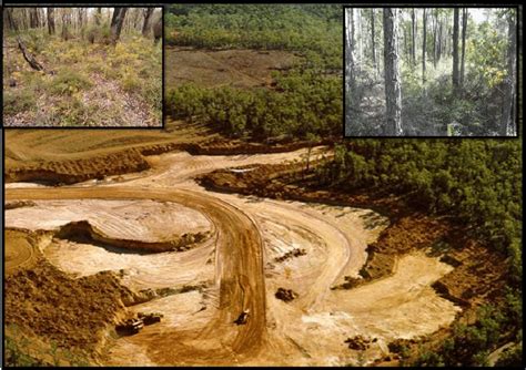 Aerial view of an active bauxite mine, situated within Jarrah ...