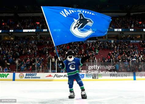 Carolina Hurricanes Mascot Photos and Premium High Res Pictures - Getty ...