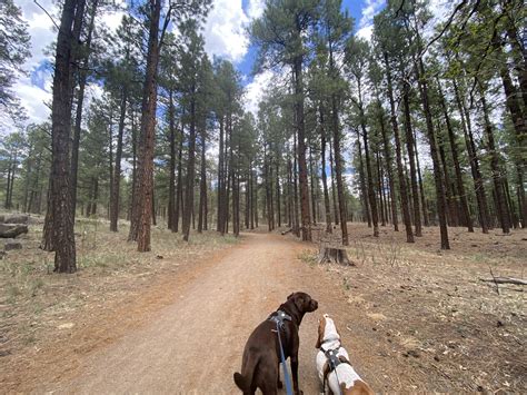 10 Best Flagstaff Hiking Trails » The Modern Female Hiker