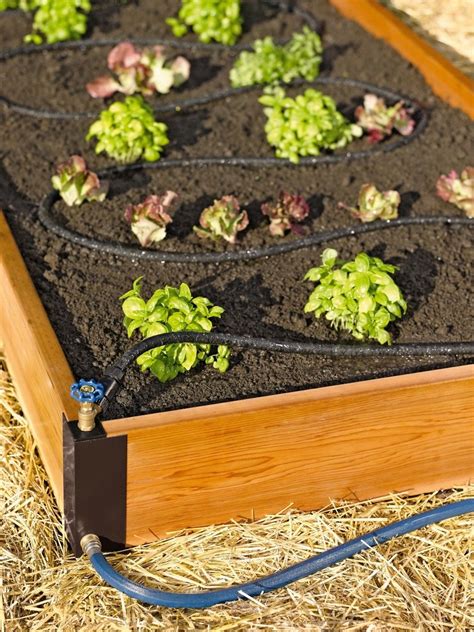 AquaCorner Soaker System is the best irrigation system for raised bed gardening. Wi… | Vegetable ...