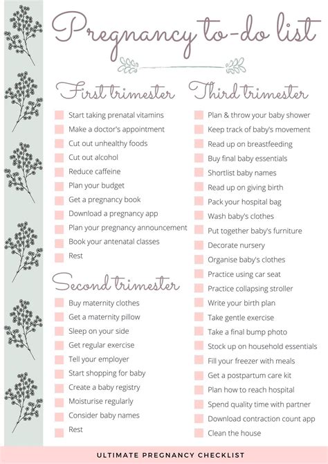 Mom Checklist, Pregnancy Checklist, Pregnancy Info, Pregnancy Care ...