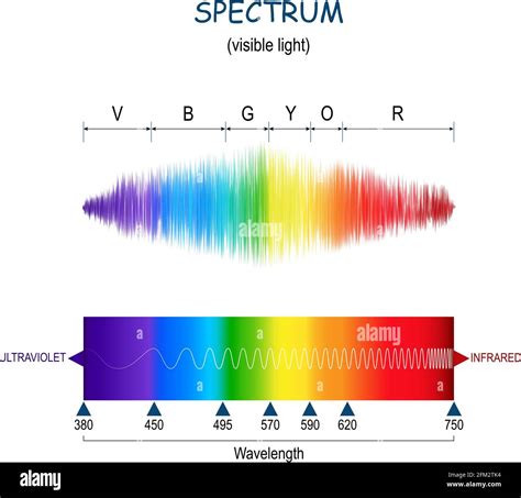 rechtfertigen Abgeschafft Chrysantheme espectro ultravioleta Cordelia ...