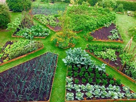 Cómo cultivar un jardín de hierbas en el exterior. Jardineros en Madrid.