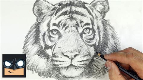 How To Draw Tiger | YouTube Studio Sketch Tutorial - YouTube