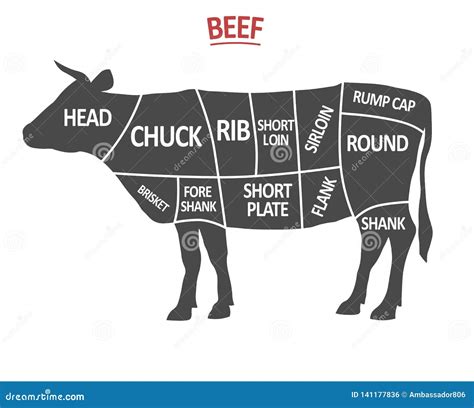 Cuts Beef Poster Butcher Diagram Cow Silhouette Isolated Meat Cuts Beef ...