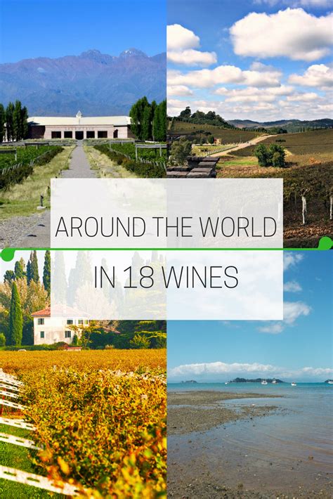 Wines of the World: The Best Wine Regions to Visit | Wine travel, Wine region, Travel inspiration