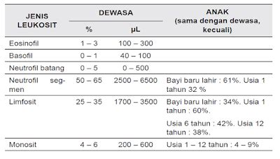 Jumlah Leukosit Normal – newstempo