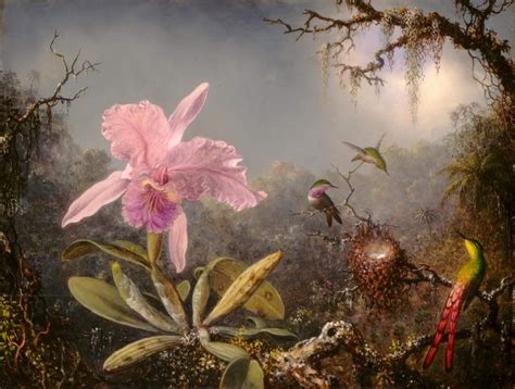 Martin Johnson "Heade Cattleya Orchid and Three Hummingbirds" 1871 | Hummingbird painting ...