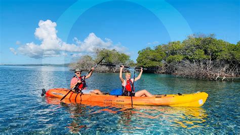 Kayaking Parguera Tours Inc. - Separa desde $7: Tours en Kayak para 1 o 2 Personas al Cayo ...