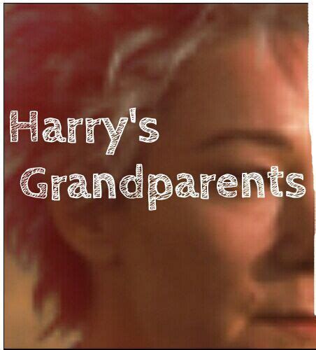 Harrys Grandparents | Harry Potter Amino