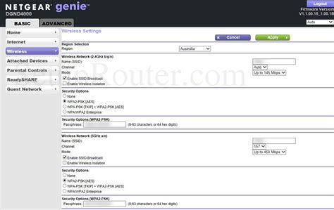 Netgear DGND4000 Screenshot BasicWireless