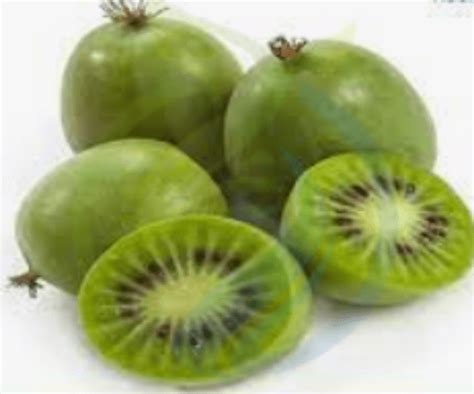 Kiwi Berry Seed - Nursery, Plants, Health & Beauty Hartbeespoort