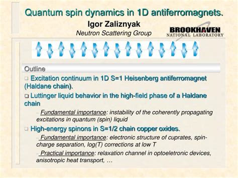 PPT - Quantum spin dynamics in 1D antiferromagnets. PowerPoint ...