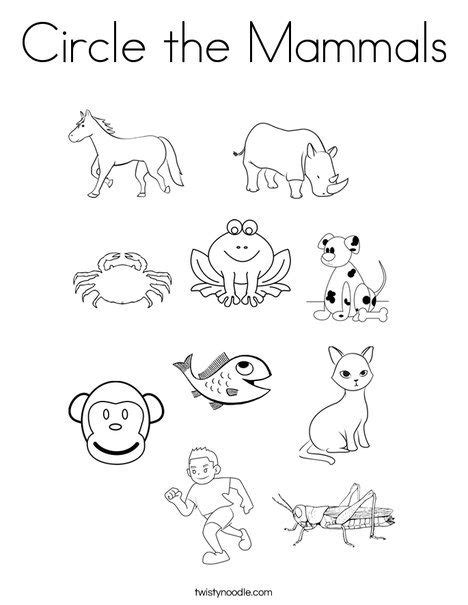 Circle the Mammals Coloring Page | Mammals, Mammals activities, Animal ...