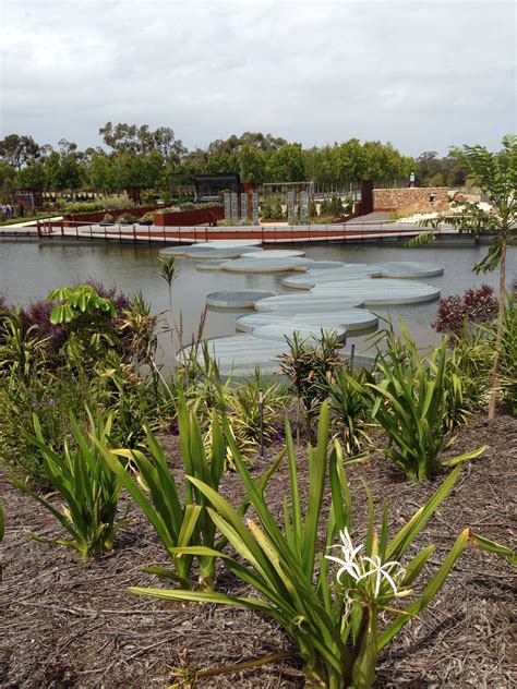 Native Australian garden. Cranbourne. | Australian garden, Garden design, Outdoor gardens