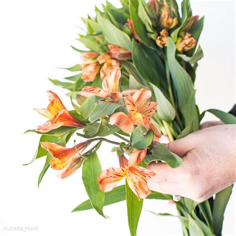 Orange Flowers | Bulk Fresh Flowers for DIY Brides — Flower Moxie