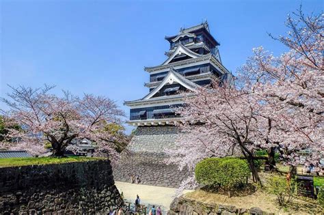 Kumamoto Highlights Tour - Japan Shore Excursions