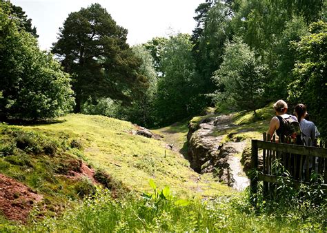 Alderley Edge, Cheshire [29/05/2016] - robertpoulson.com