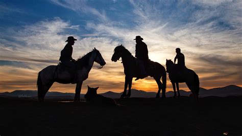 Cowboys at Sunset 4K wallpaper download